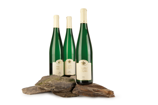 KALLFELZ Riesling Hochgewächs Trocken - Gutswein